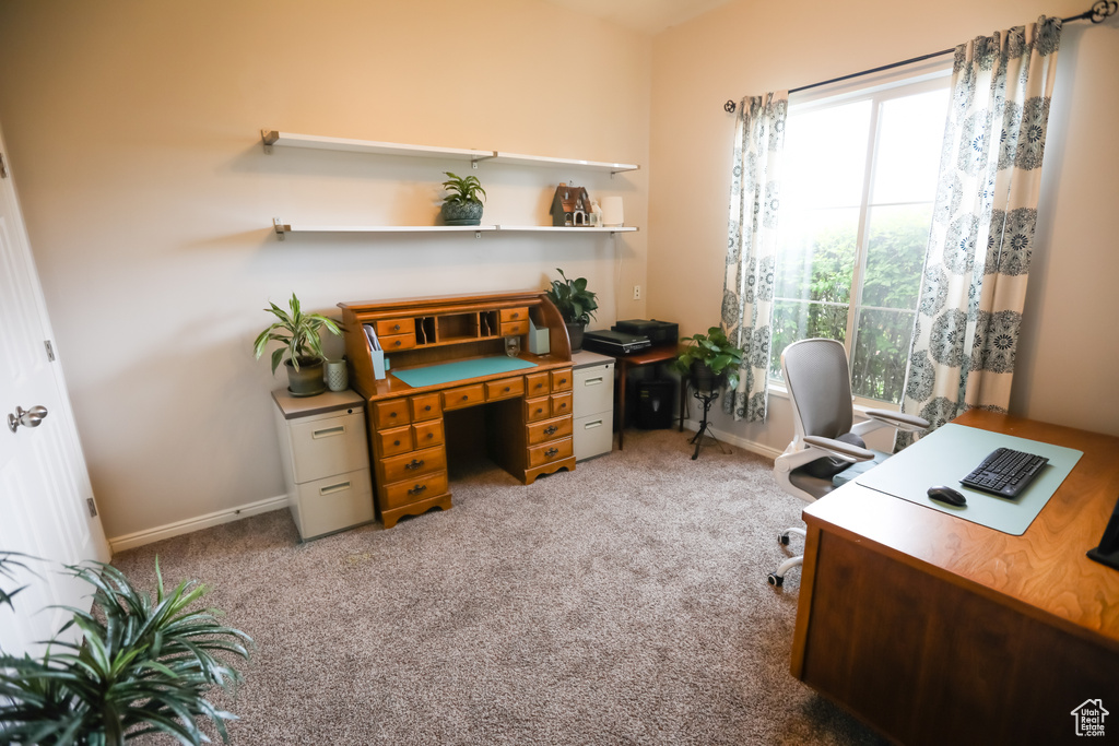 Home office with carpet floors and baseboards