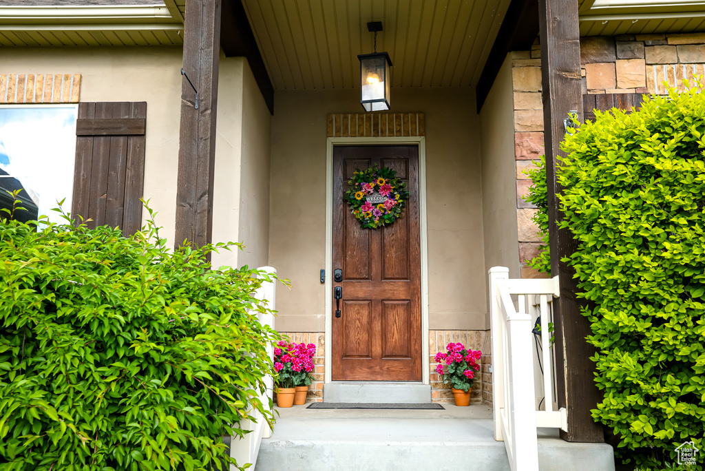 Doorway to property featuring stucco siding and a porch