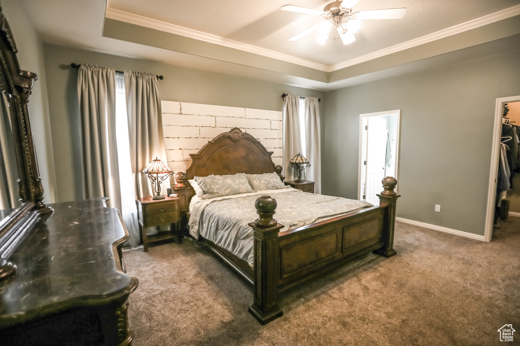 Bedroom featuring crown molding, carpet, a raised ceiling, a spacious closet, and baseboards