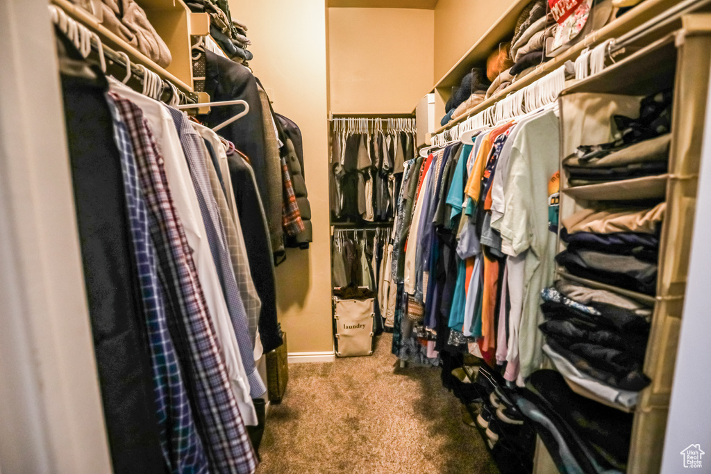 Walk in closet featuring carpet floors
