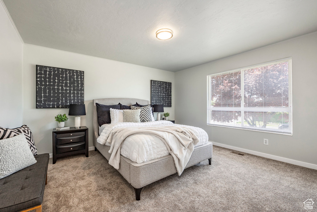 Bedroom featuring carpet floors and baseboards