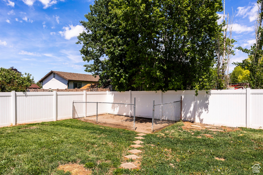 View of yard