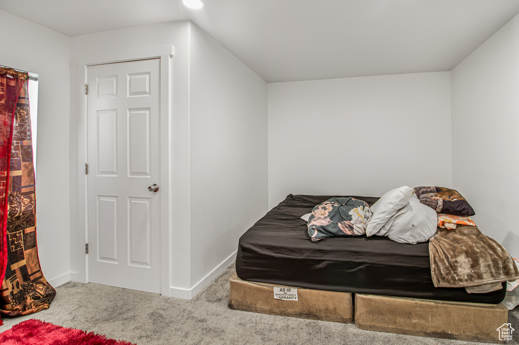 Living area featuring carpet and baseboards