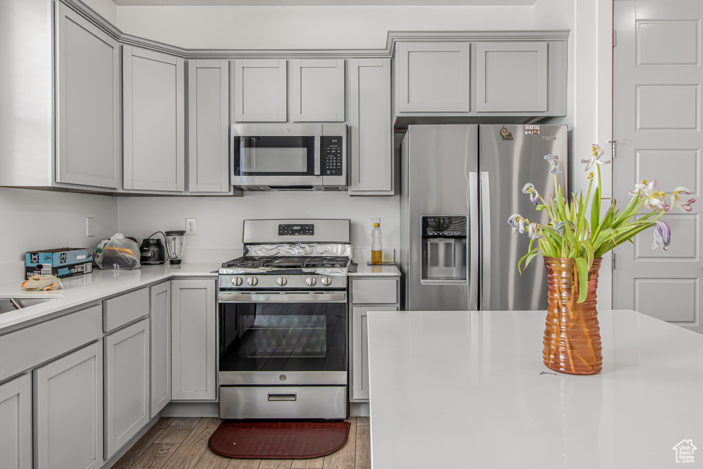 Kitchen featuring appliances with stainless steel finishes, gray cabinets, light countertops, and wood finished floors
