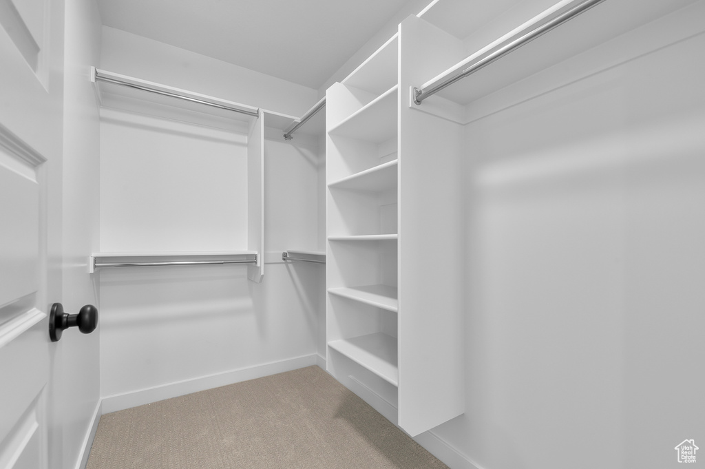 Walk in closet featuring carpet floors
