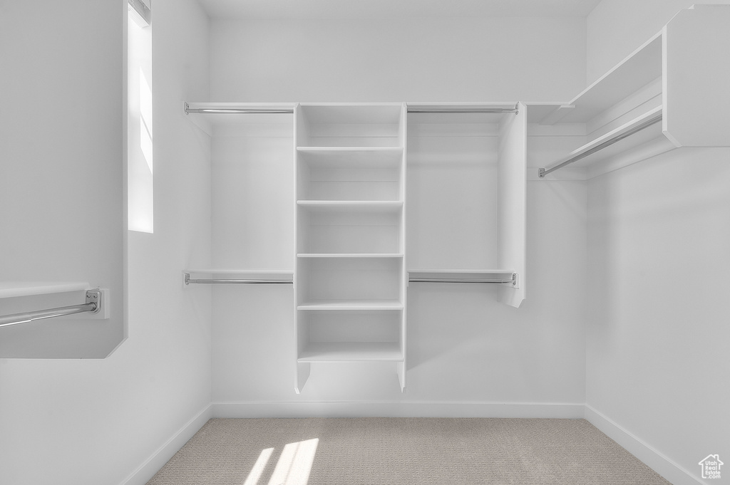 Walk in closet with carpet