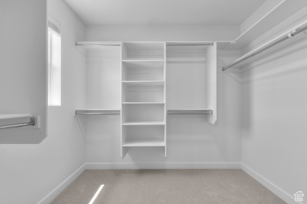 Walk in closet featuring carpet floors