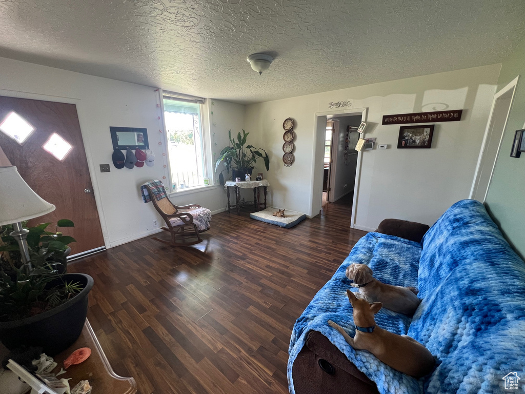 Living room with wood finished floors, a textured ceiling, and baseboards