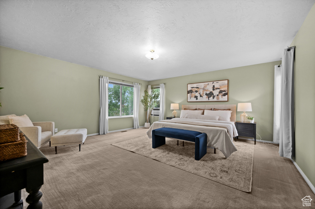 Bedroom featuring carpet floors, baseboards, and a textured ceiling