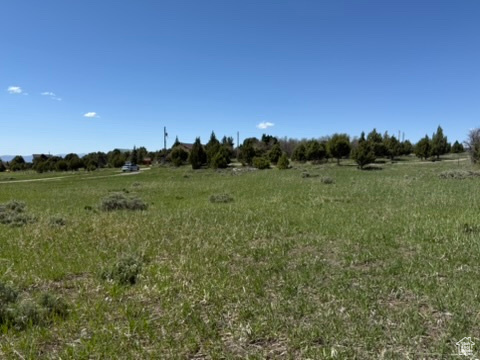 View of local wilderness featuring rural landscape