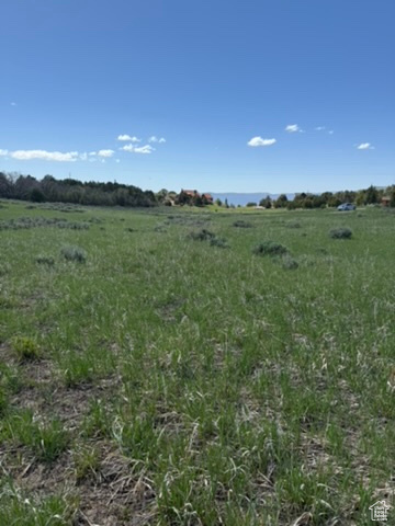 View of nature with rural landscape