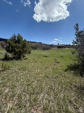 View of local wilderness with rural landscape