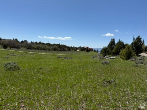 View of local wilderness with rural landscape