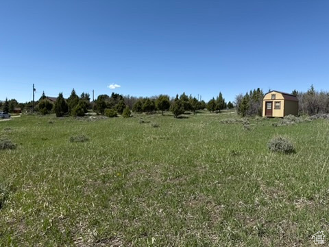 View of yard featuring a rural view, an outdoor structure, and a shed