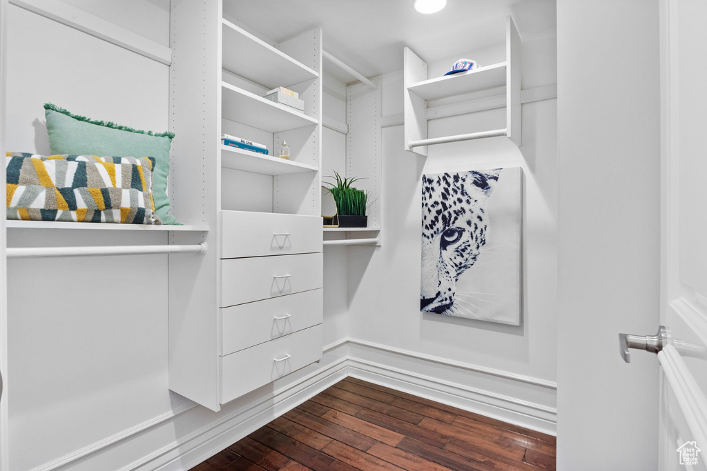 Walk in closet featuring dark wood finished floors