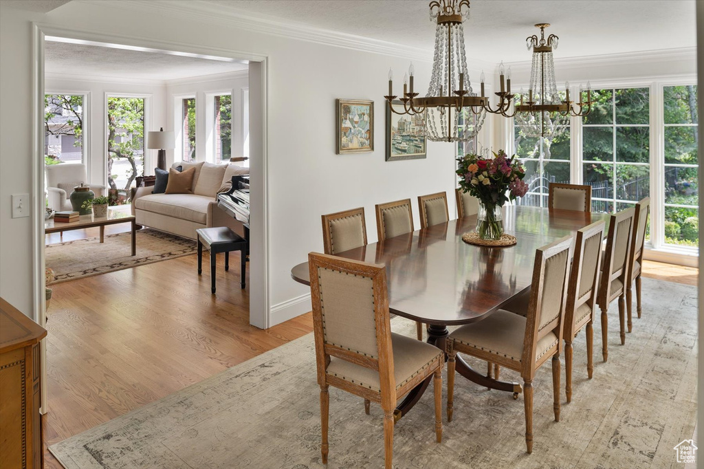 Dining area featuring ornamental molding, a chandelier, light wood-type flooring, and healthy amount of natural light