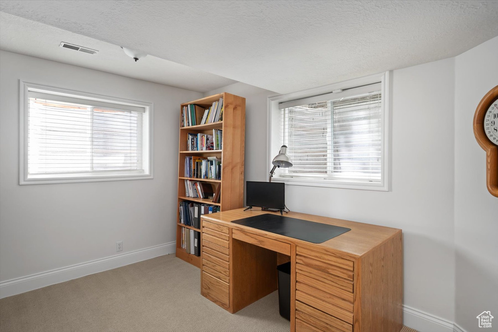 Office area with baseboards, light colored carpet, and a textured ceiling