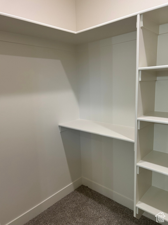 Walk in closet with dark carpet