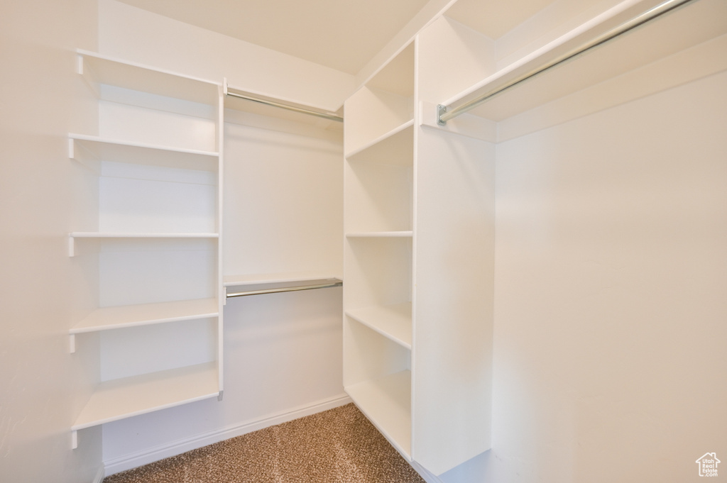 Spacious closet featuring carpet