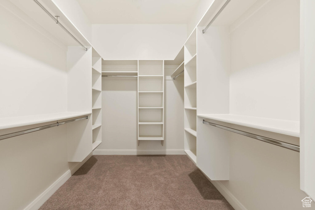 Walk in closet featuring carpet