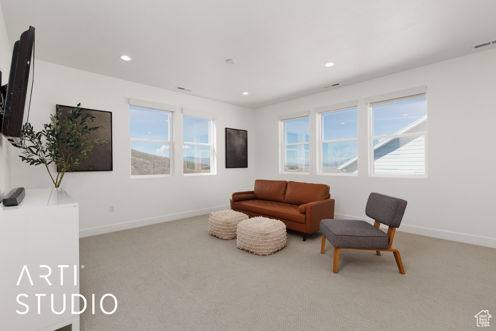 Sitting room featuring carpet floors, baseboards, and a wealth of natural light