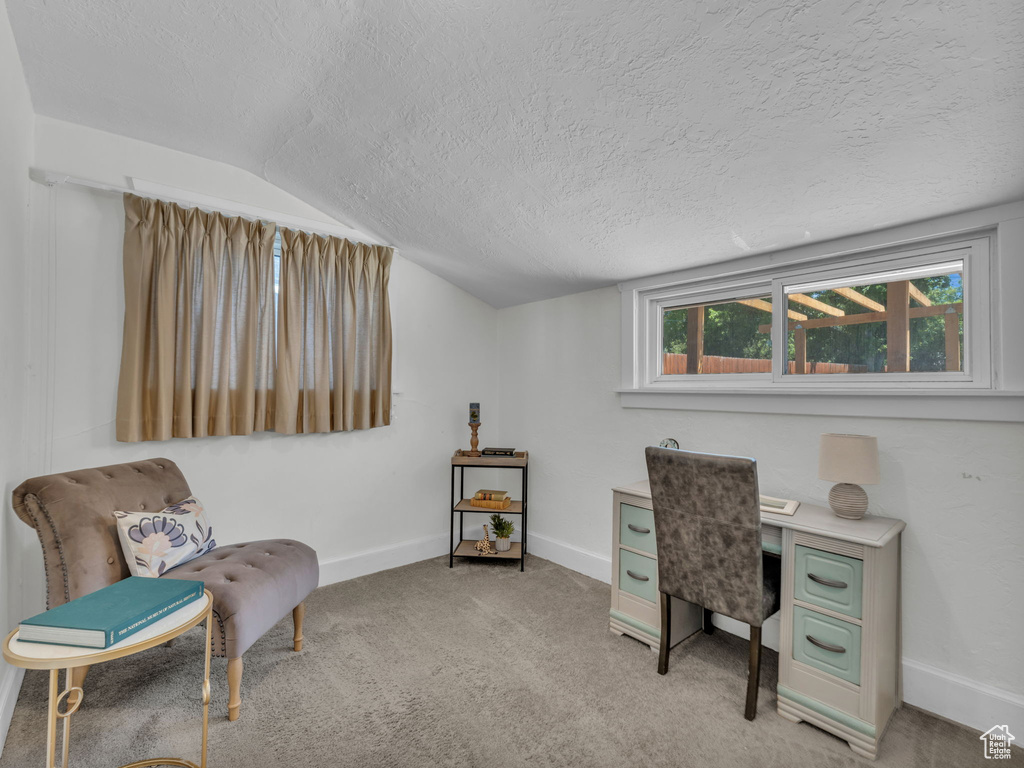 Office area featuring a textured ceiling, baseboards, vaulted ceiling, and light carpet
