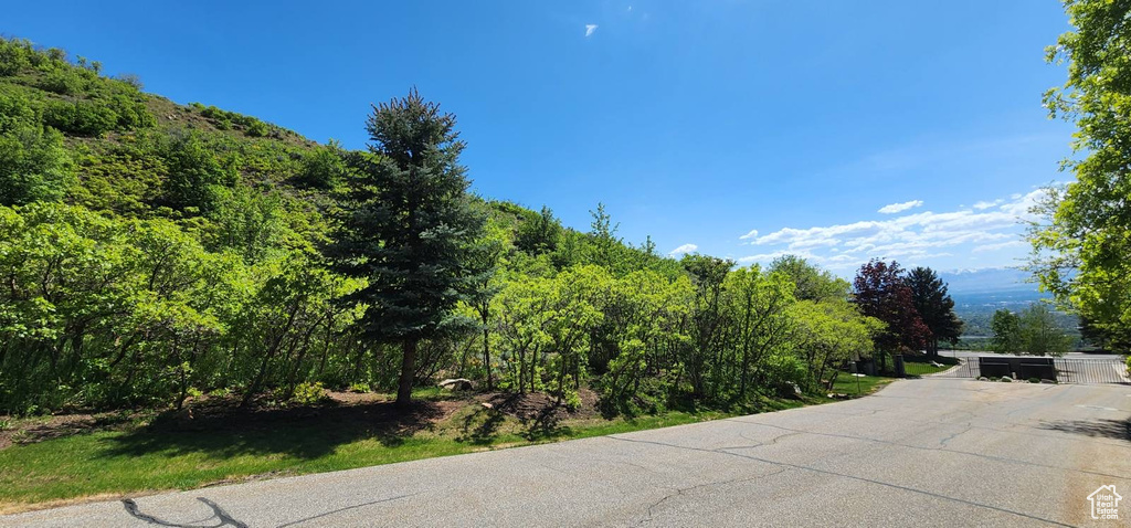 View of asphalt street featuring a view of trees