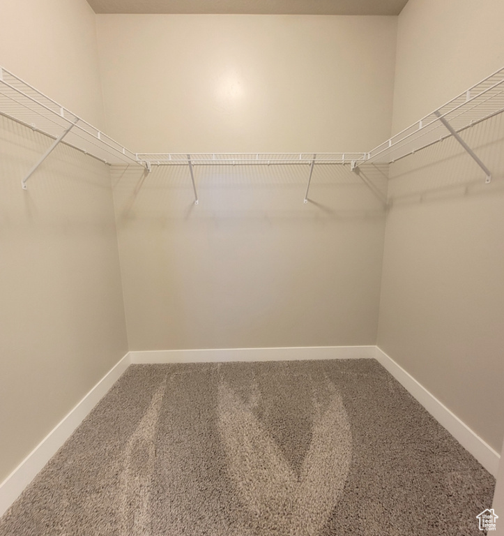 Spacious closet featuring carpet flooring