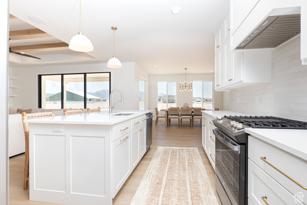 Kitchen with stainless steel appliances, a sink, premium range hood, light wood-style flooring, and tasteful backsplash