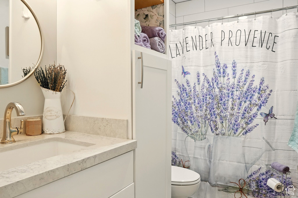 Full bathroom featuring toilet, vanity, and a shower with curtain