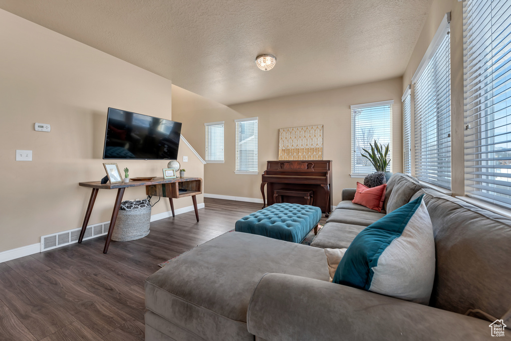 Living room featuring healthy amount of natural light, baseboards, dark wood-type flooring, and a textured ceiling