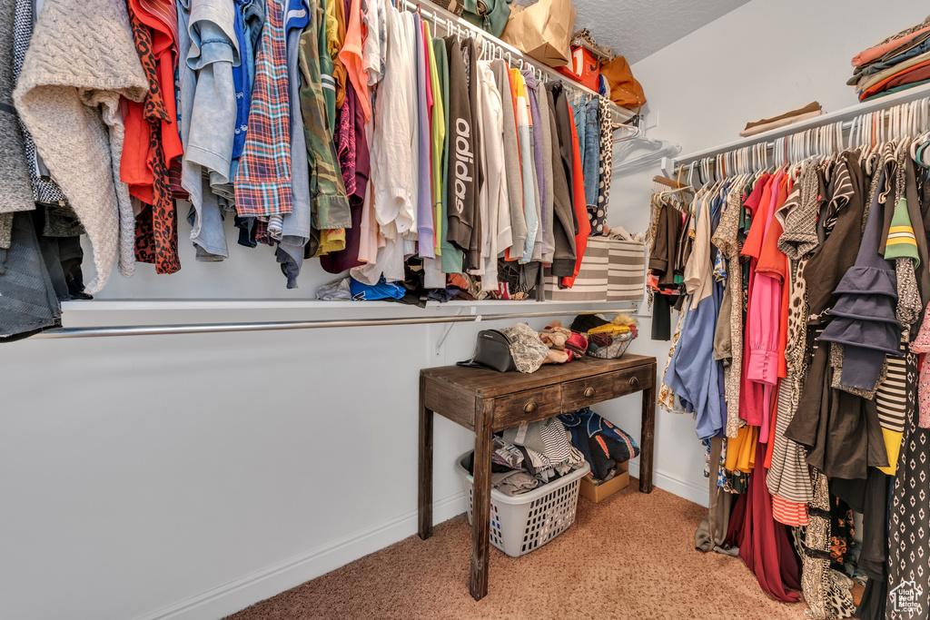 Spacious closet with carpet flooring
