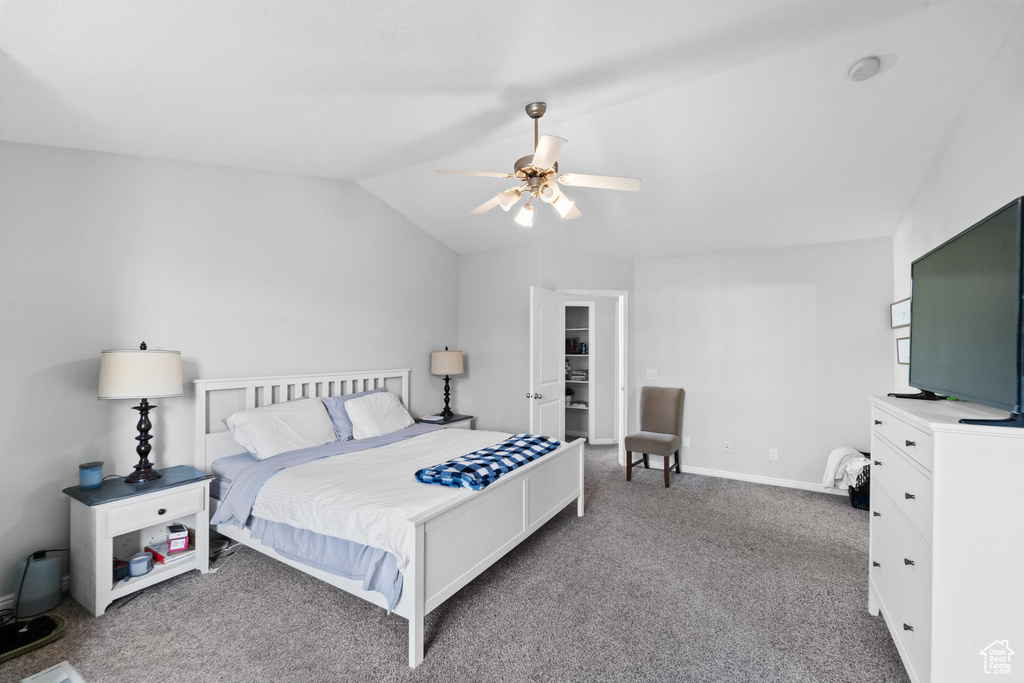 Carpeted bedroom featuring lofted ceiling, a ceiling fan, and a walk in closet