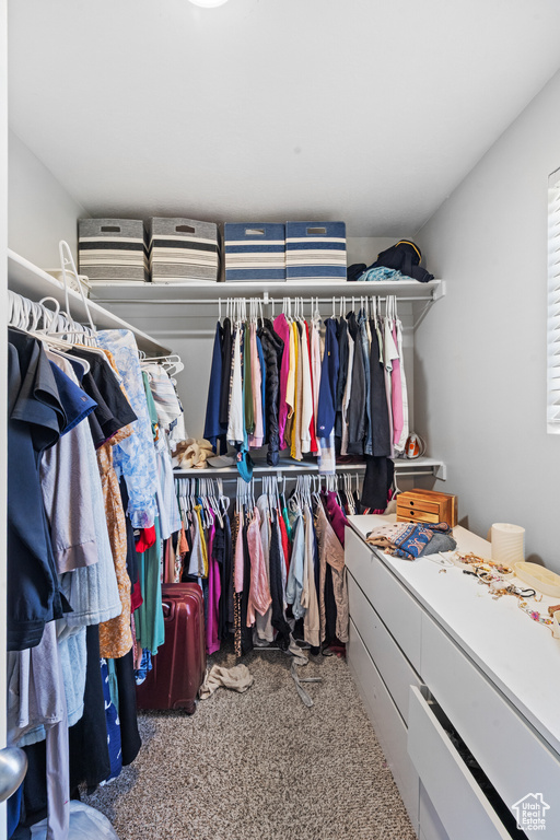 Walk in closet featuring carpet