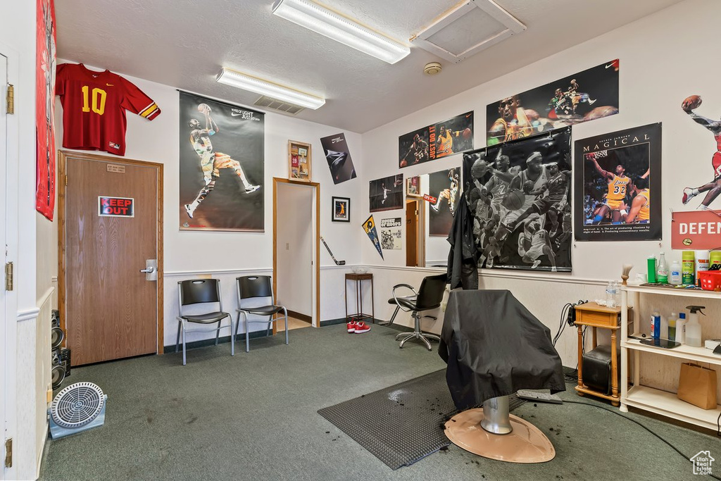 Game room featuring carpet flooring and attic access