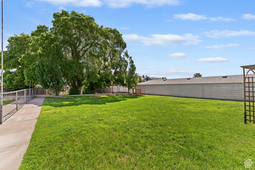 View of yard