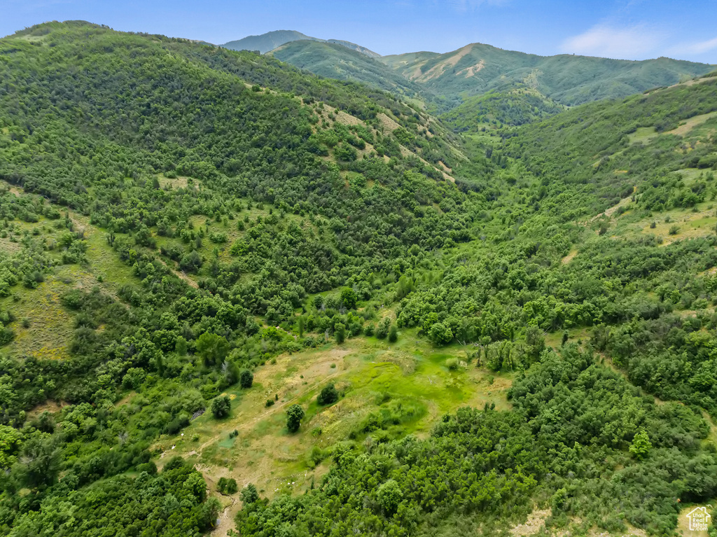 2333 S FALCON WAY Huntsville, UT 84317