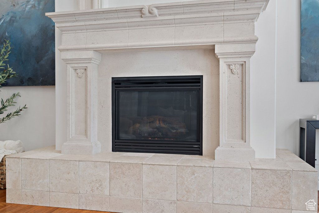 Detailed view of a glass covered fireplace and wood finished floors