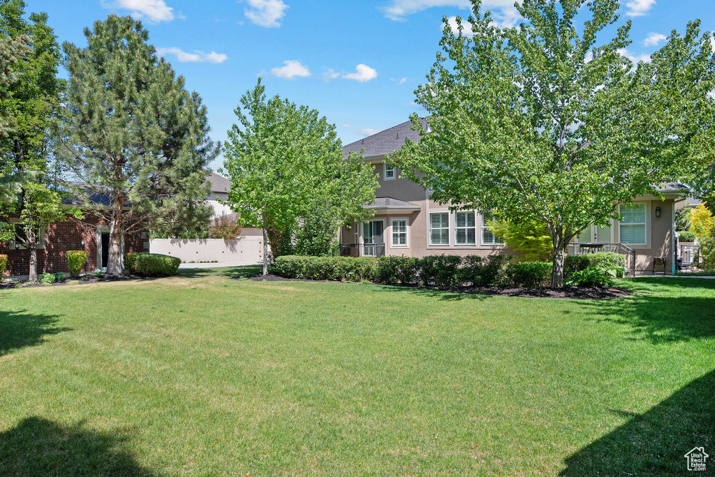 View of yard