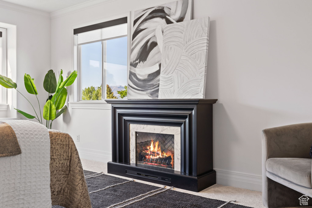 Detailed view of carpet, baseboards, a high end fireplace, and crown molding