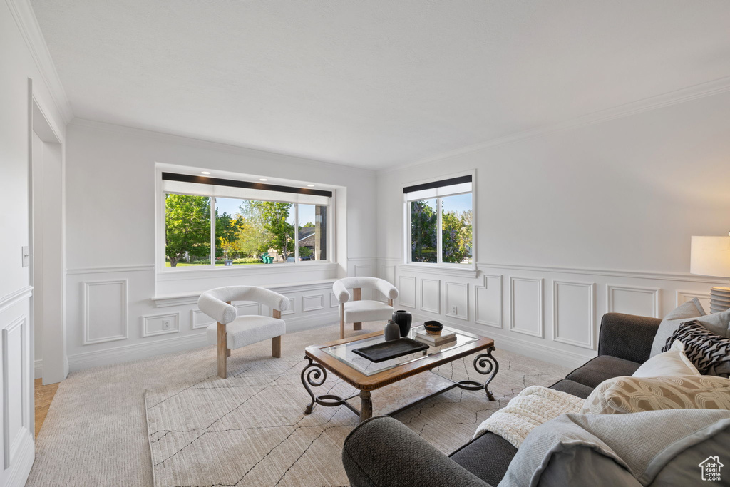 Living area with ornamental molding, carpet floors, a decorative wall, and a wainscoted wall