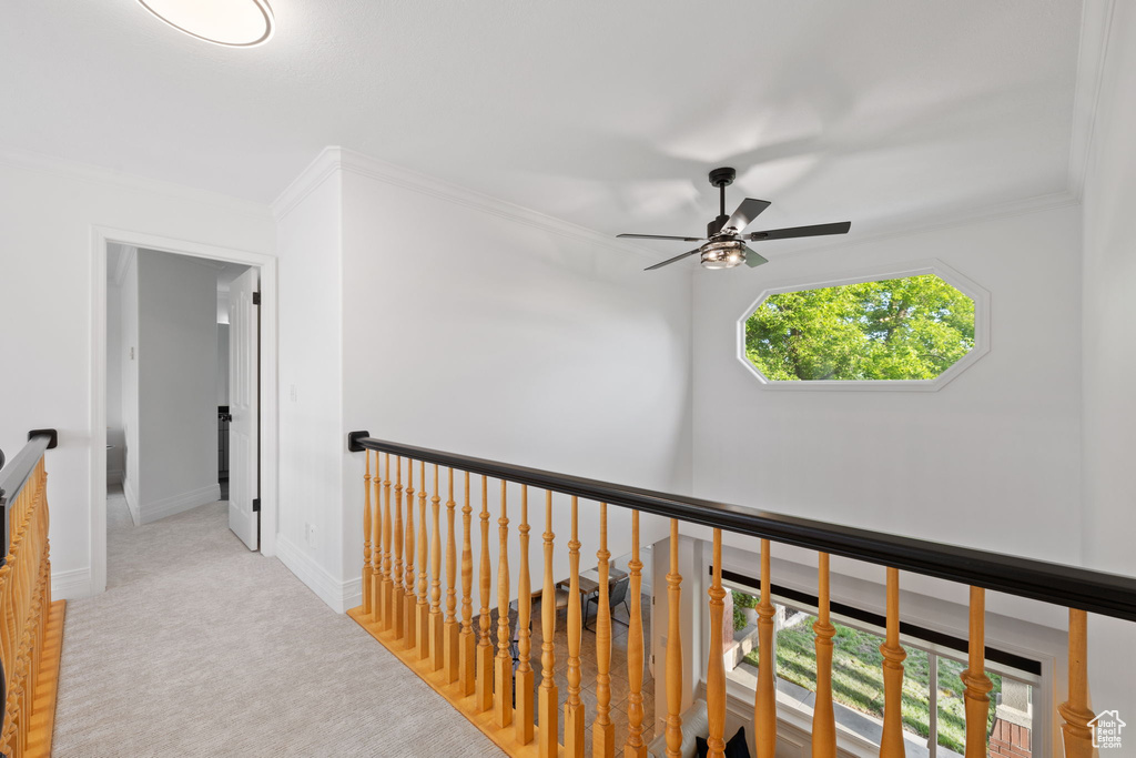 Hall featuring crown molding, baseboards, an upstairs landing, and carpet flooring
