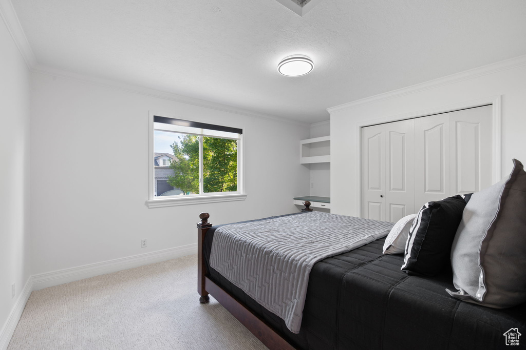Bedroom featuring ornamental molding, carpet flooring, a closet, and baseboards