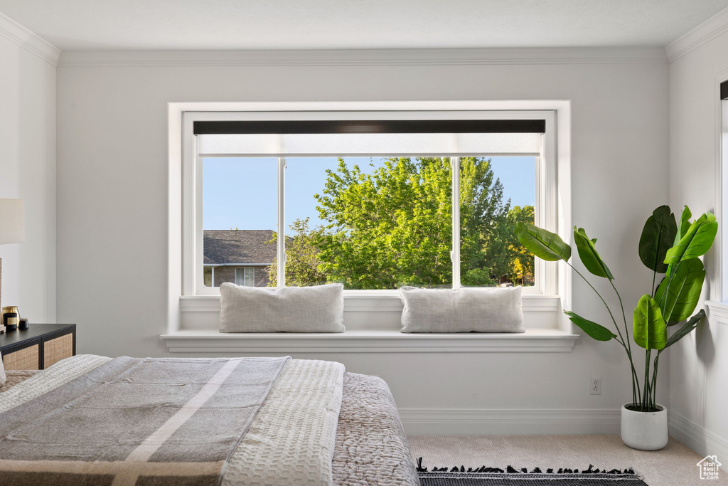 Bedroom with multiple windows, carpet, ornamental molding, and baseboards