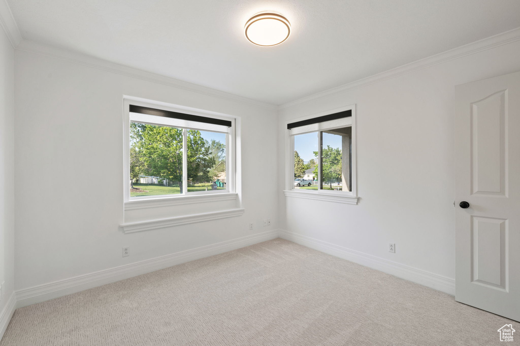 Carpeted spare room with ornamental molding and baseboards