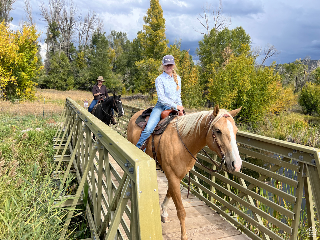 View of horse barn