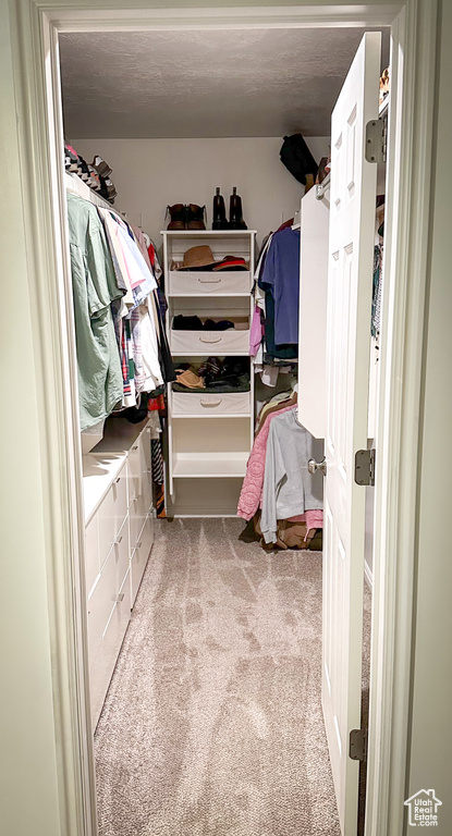 Spacious closet featuring carpet floors