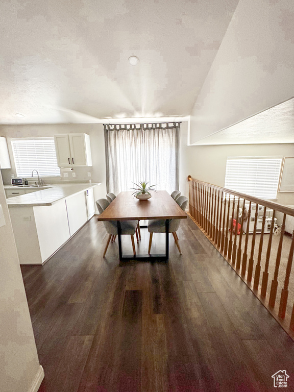 Dining room with dark wood-style flooring and healthy amount of natural light
