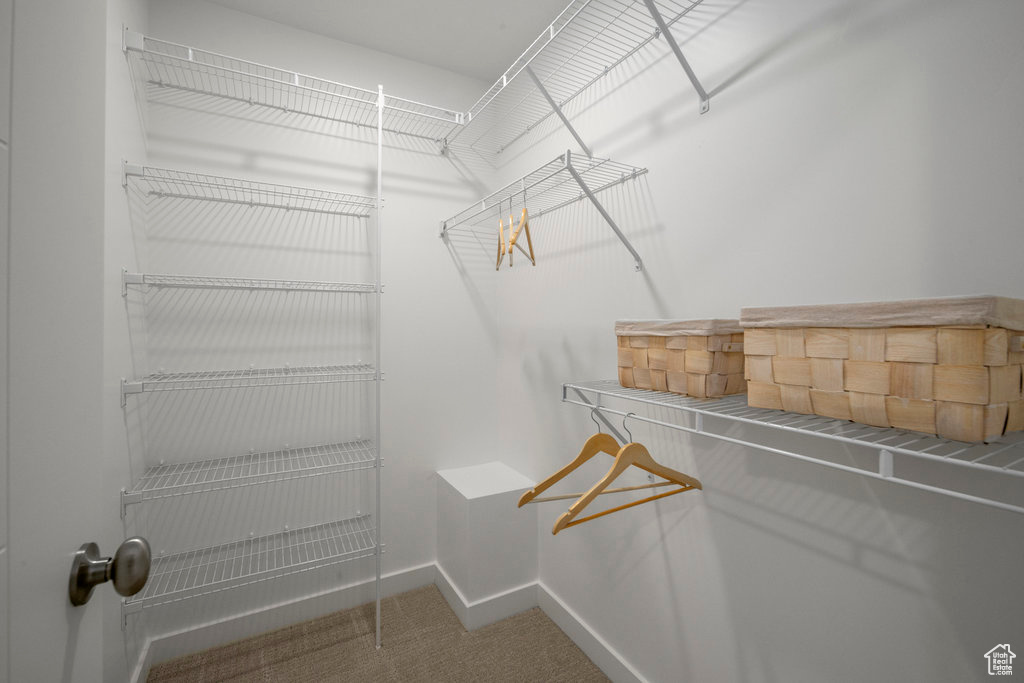 Walk in closet featuring carpet flooring