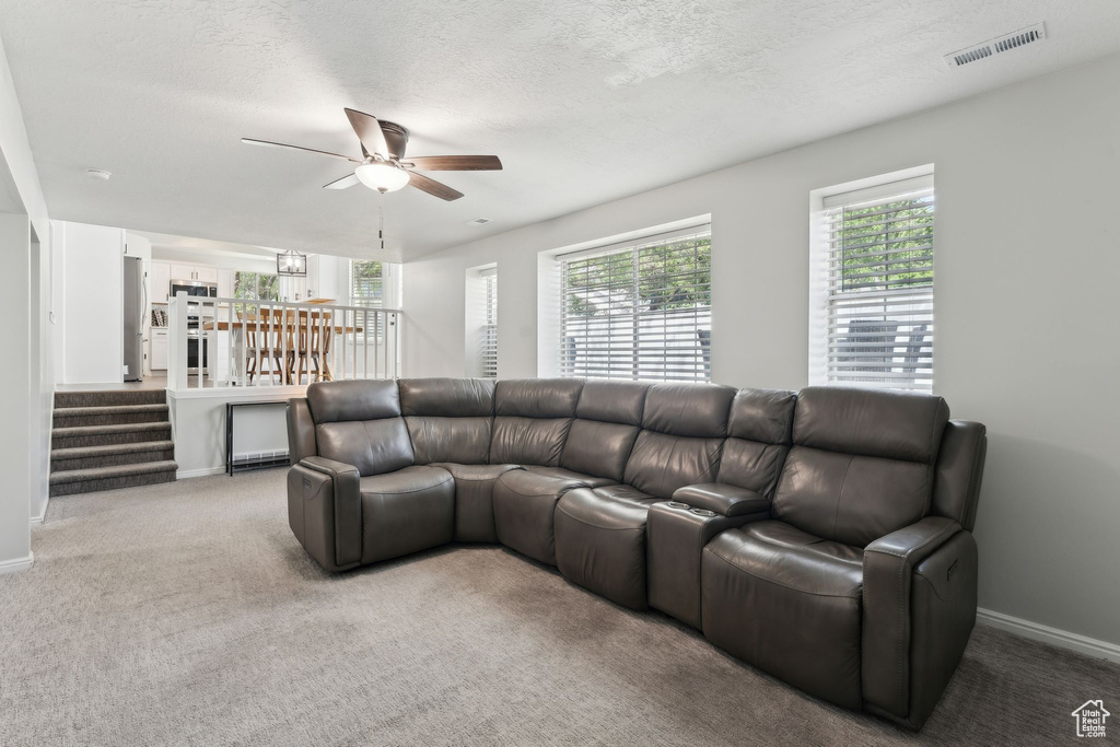 Carpeted living room featuring ceiling fan, healthy amount of natural light, baseboards, and a textured ceiling